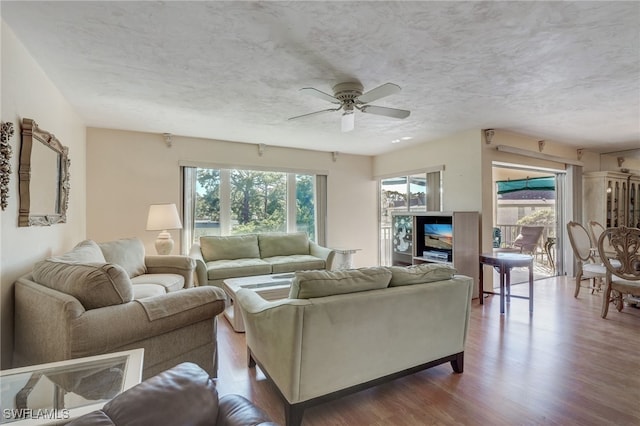 living room featuring hardwood / wood-style floors, ceiling fan, and a textured ceiling