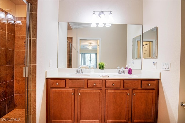 bathroom with vanity and a shower with shower door