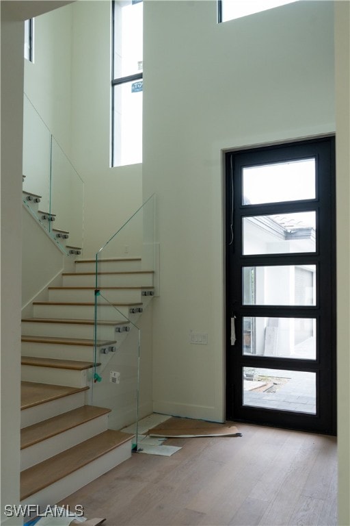 foyer with light hardwood / wood-style flooring and a wealth of natural light