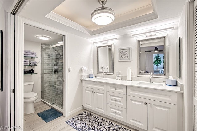 bathroom featuring vanity, a tray ceiling, a shower with door, and ornamental molding