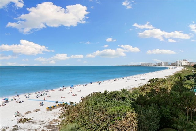 water view featuring a view of the beach