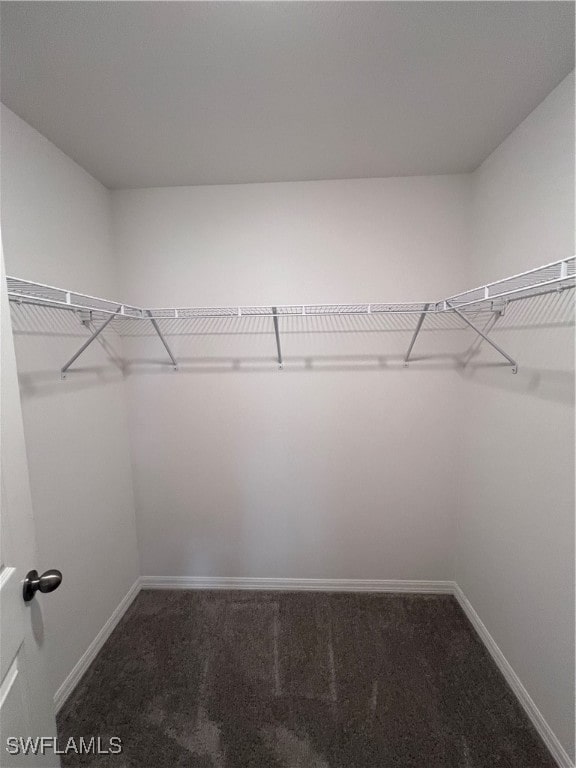 walk in closet featuring carpet