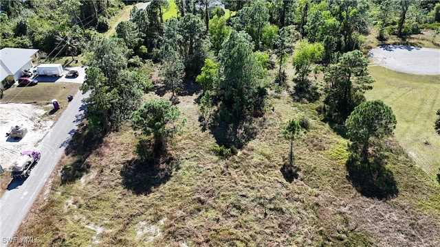 404/406 Chalet Ave S, Lehigh Acres FL, 33974 land for sale