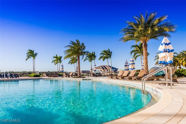 view of pool with a patio area