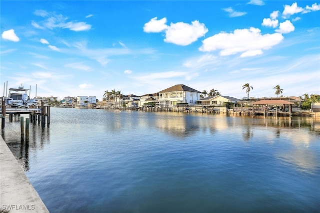 dock area with a water view