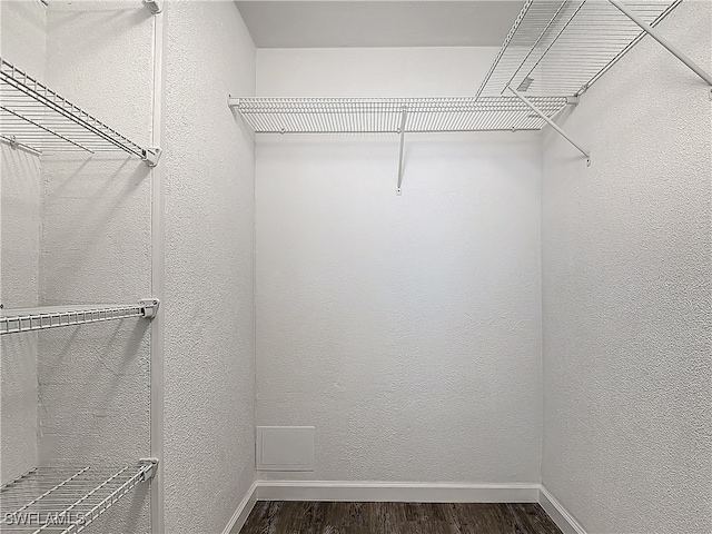 walk in closet featuring dark wood-type flooring