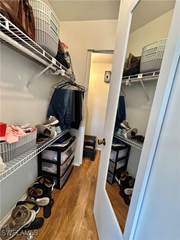 spacious closet with hardwood / wood-style flooring