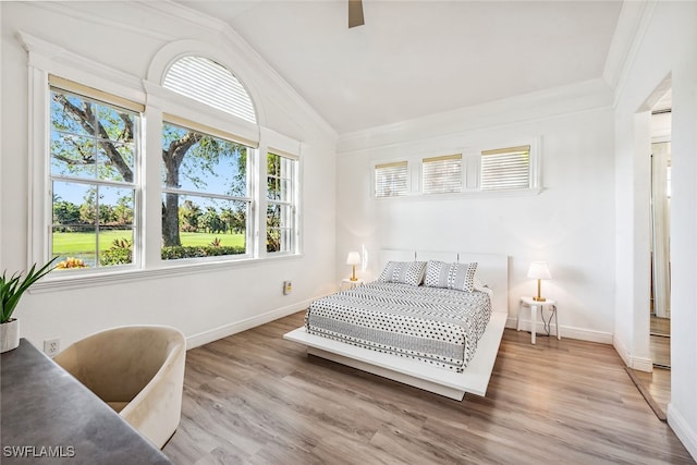 bedroom featuring multiple windows, ceiling fan, and wood-type flooring