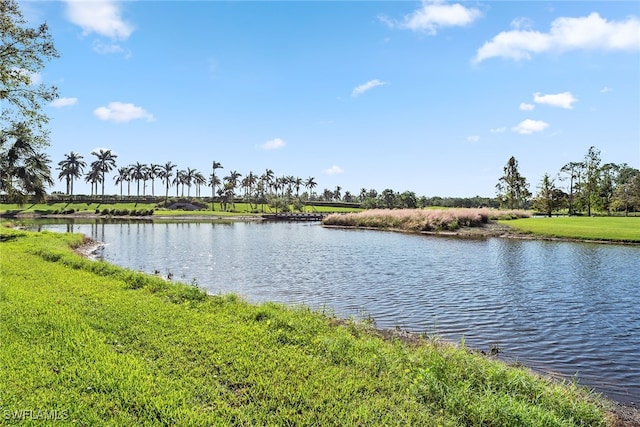 property view of water