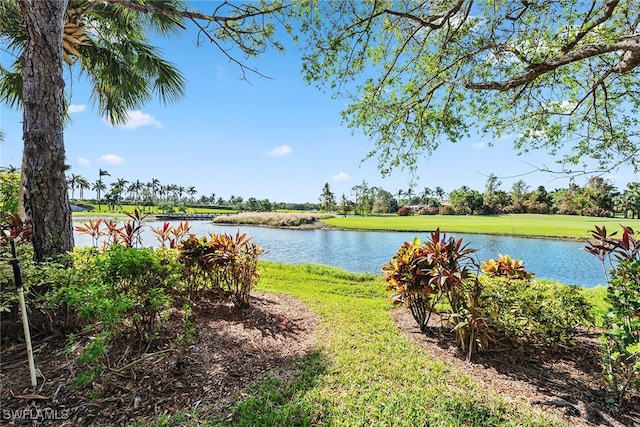 property view of water