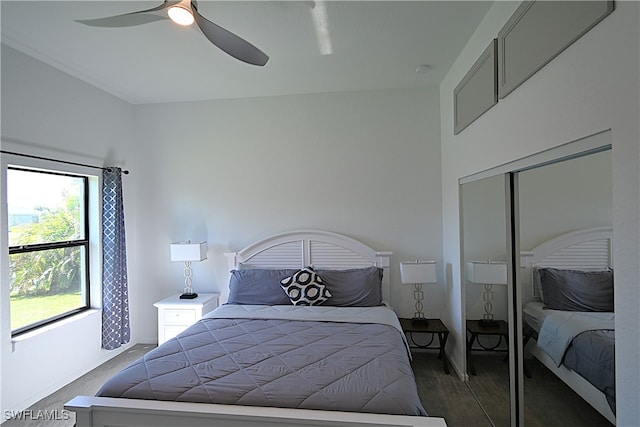 bedroom featuring ceiling fan, dark wood-type flooring, and a closet