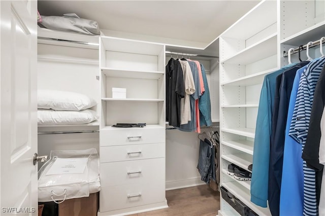 spacious closet with hardwood / wood-style floors