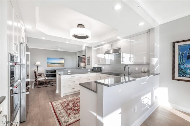 kitchen featuring a raised ceiling, kitchen peninsula, and white cabinets