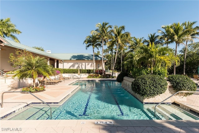 view of swimming pool with a patio