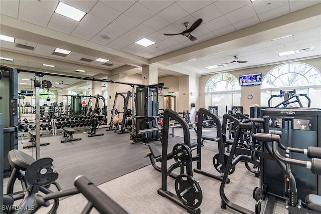 exercise room with ceiling fan and a paneled ceiling