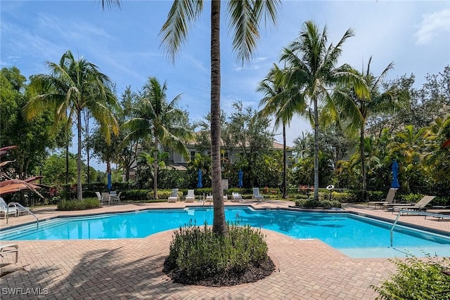 9219 Corfu Ct Unit 202, Naples, FL 34114 - community pool with a patio