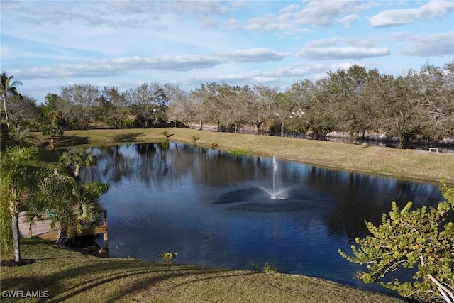 view of water feature