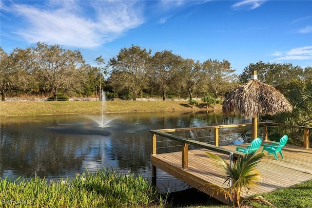 dock area with a water view