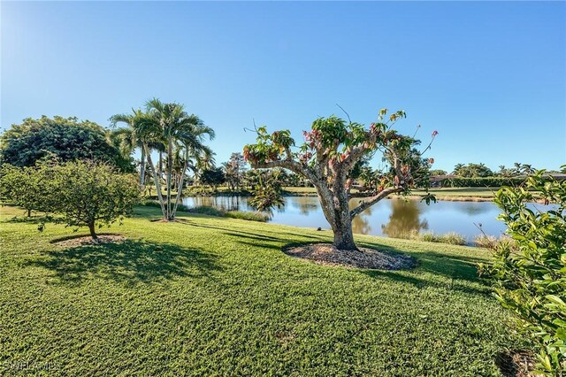 water view