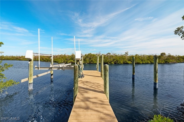 dock area with a water view