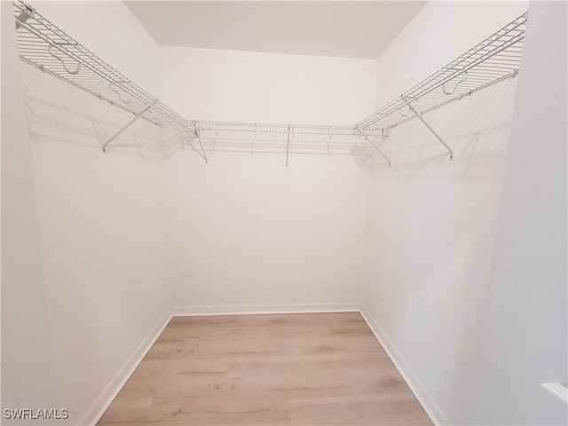 spacious closet featuring hardwood / wood-style floors