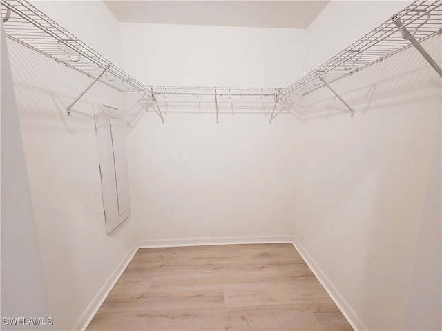 walk in closet featuring wood-type flooring