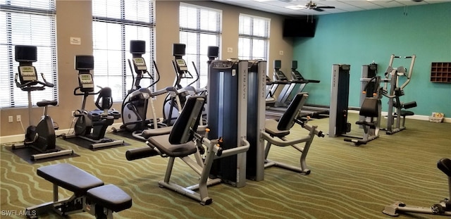 workout area with ceiling fan, carpet floors, and a wealth of natural light