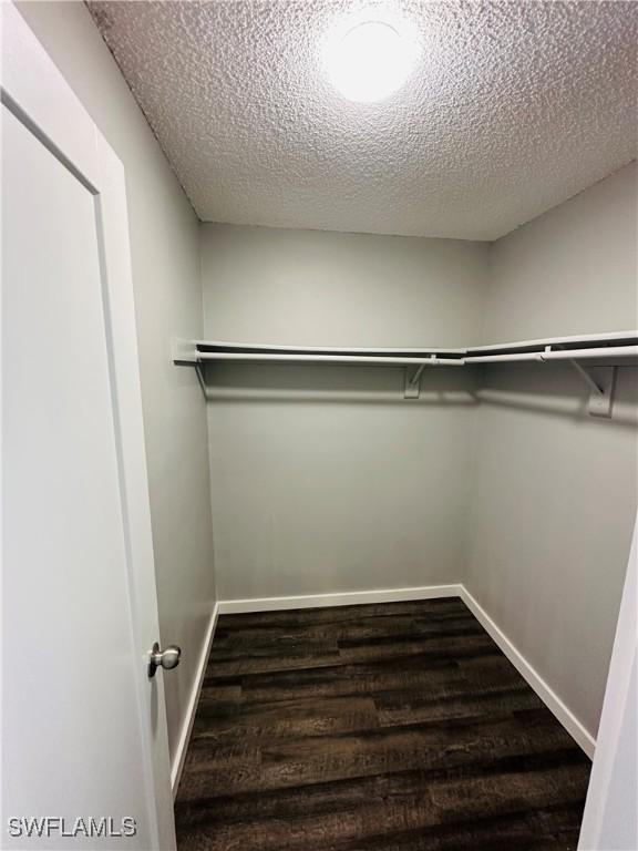 spacious closet featuring wood-type flooring