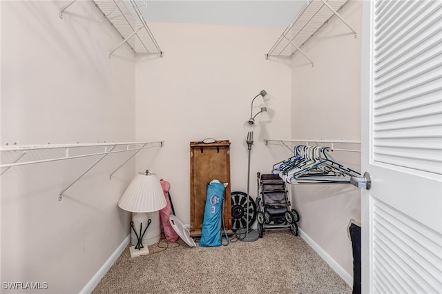 walk in closet featuring carpet