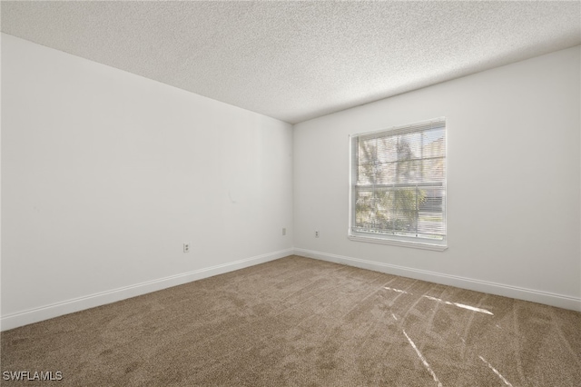 unfurnished room with carpet and a textured ceiling