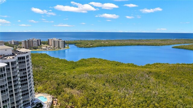 285 Grande Way Unit 705, Naples, FL 34110 - water view featuring a forest