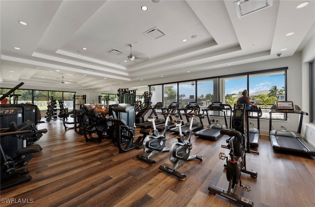 workout area with a tray ceiling and plenty of natural light