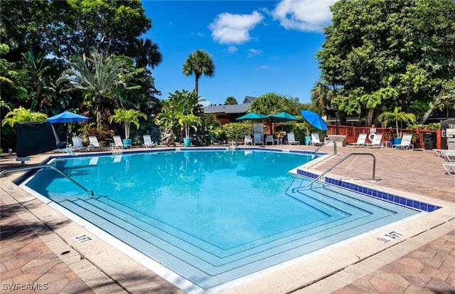 view of pool with a patio area