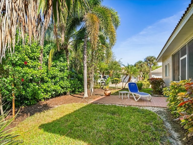 view of yard featuring a patio area