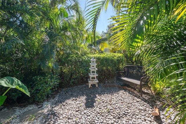 view of yard featuring a patio