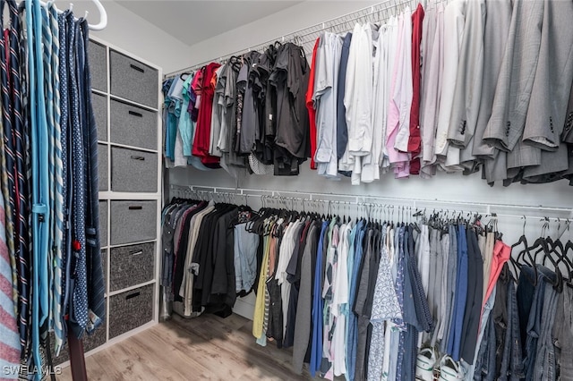 walk in closet with hardwood / wood-style floors