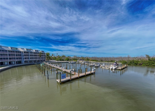 dock area with a water view