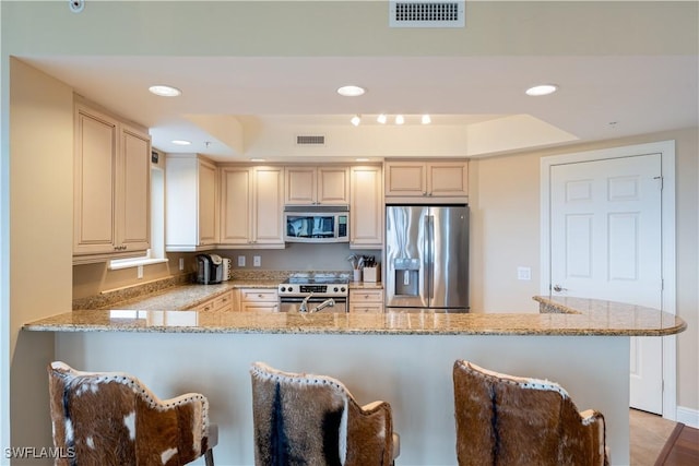 23540 Via Veneto Blvd Unit 605, Estero, FL 34134 - kitchen with stainless steel appliances, a tray ceiling, light stone countertops, and recessed lighting