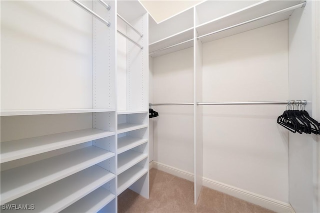 23540 Via Veneto Blvd Unit 605, Estero, FL 34134 - spacious closet featuring carpet flooring