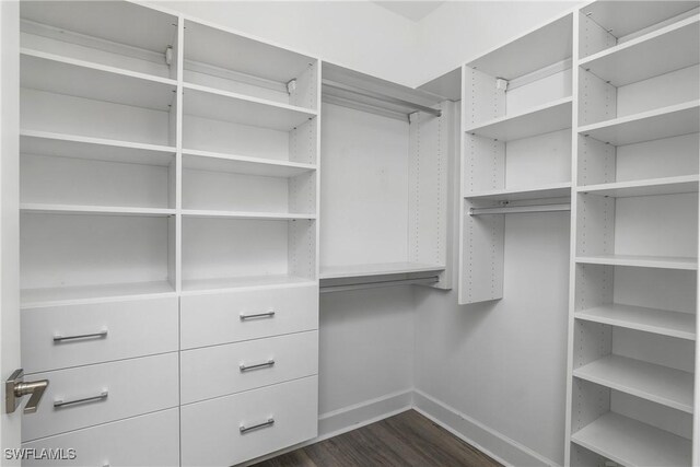 walk in closet with dark hardwood / wood-style floors