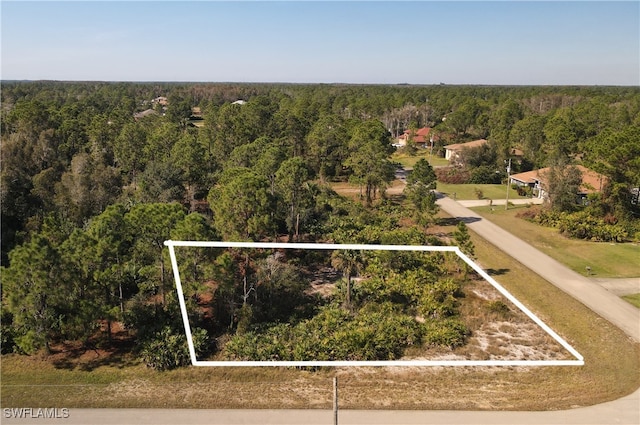 828 Fullerton Ave S, Lehigh Acres FL, 33974 land for sale