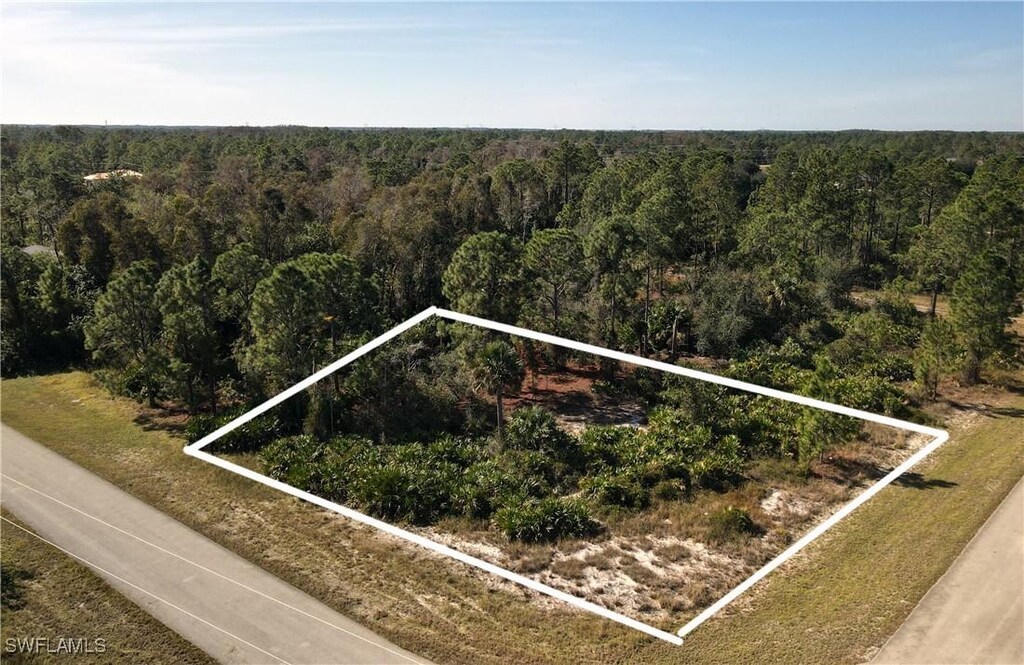 828 Fullerton Ave S, Lehigh Acres, FL 33974