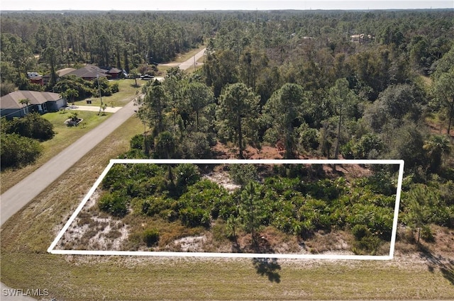828 Fullerton Ave S, Lehigh Acres, FL 33974