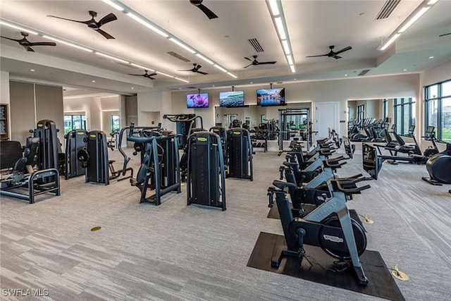 gym with light colored carpet