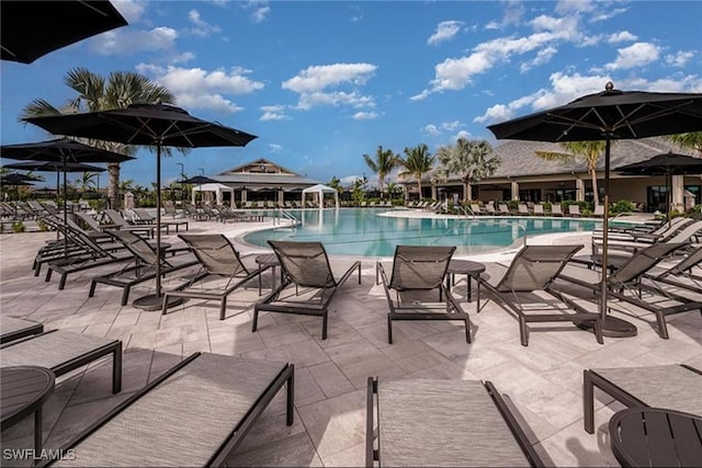 view of pool with a patio area