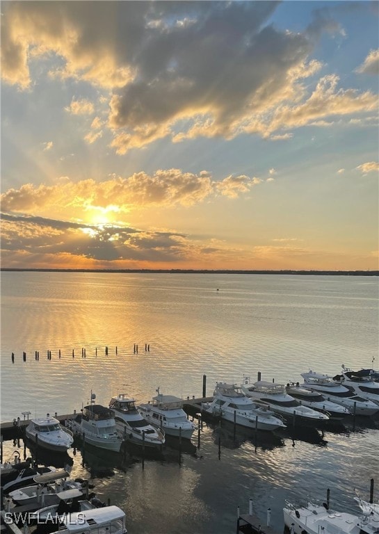 property view of water featuring a boat dock