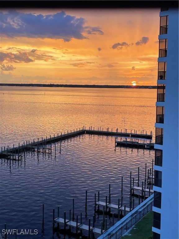 property view of water with a boat dock