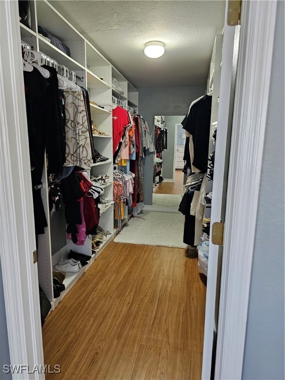 spacious closet featuring hardwood / wood-style flooring