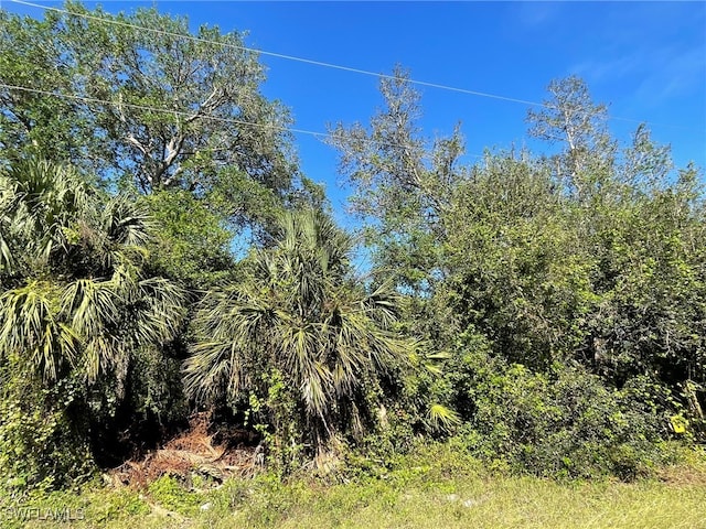 3012 11th St, Lehigh Acres FL, 33976 land for sale