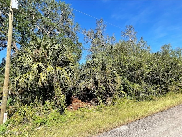 Listing photo 3 for 3012 11th St, Lehigh Acres FL 33976